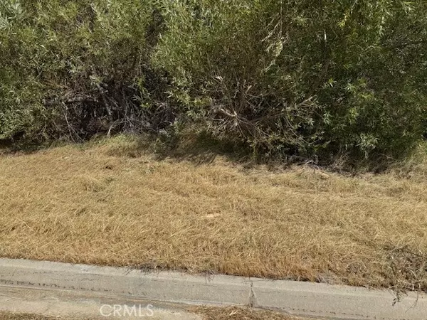 Elizabeth Lake, CA 93532,1 Vac/Kiptree Dr/Vic Deerbank