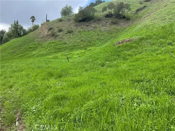 Woodland Hills (los Angeles), CA 91364,4704 GALENDO