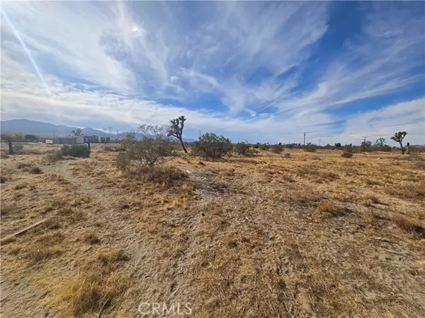 0 263rd Road, Pinon Hills, CA 92372