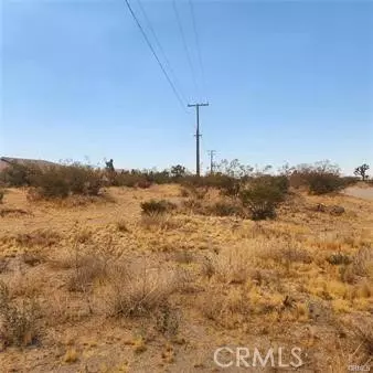 Pinon Hills, CA 92372,1595 La Mesa Road