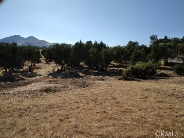 Agua Dulce, CA 91350,0 Agua Dulce Canyon