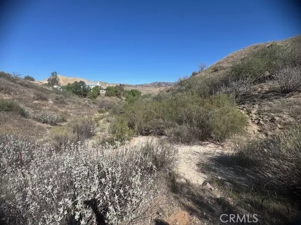 Canyon Country (santa Clarita), CA 91351,0 Vasquez Canyon