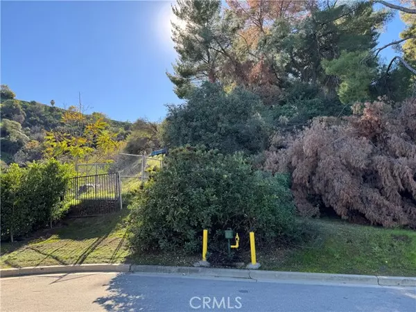 Woodland Hills (los Angeles), CA 91364,3 ambar Drive