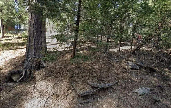 Twin Peaks, CA 92391,25547 Mid Ln