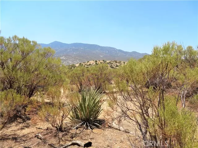Mountain Center, CA 92561,1 Palm Canyon Drive