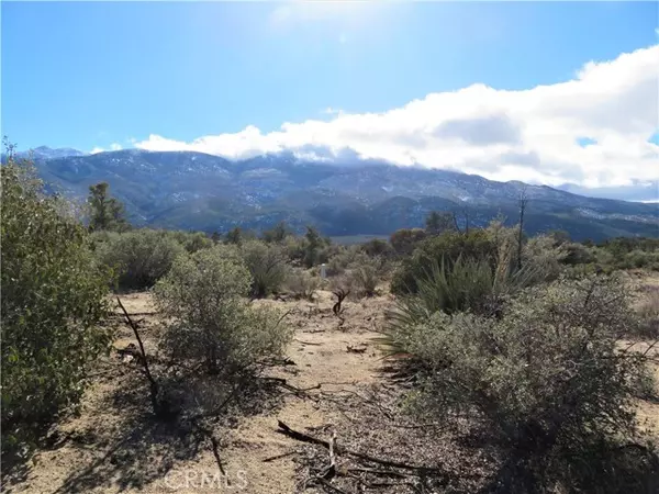 44 Burlwood Drive, Mountain Center, CA 92561