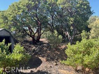 51190 Quail Mountain Drive, Anza, CA 92539