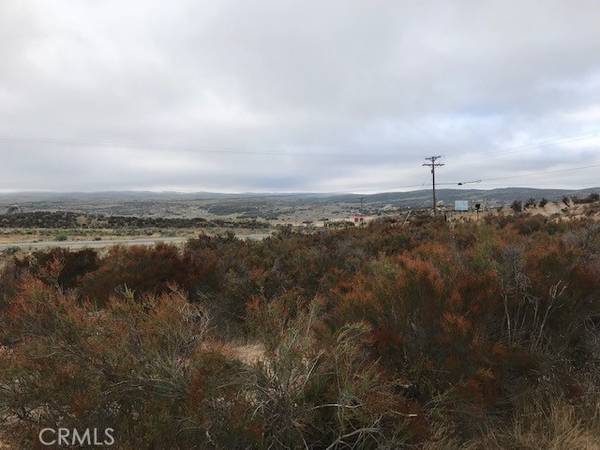 0 Cary Road, Anza, CA 92539