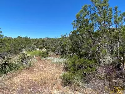 Anza, CA 92539,61700 Indian Paint Brush Road