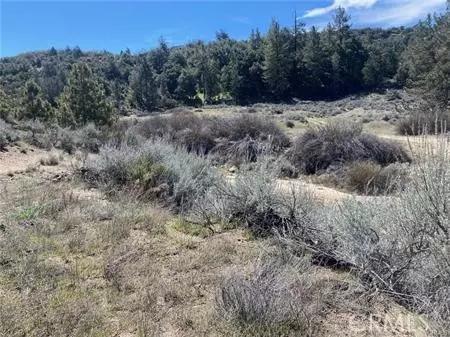 Anza, CA 92539,0 Hwy 371