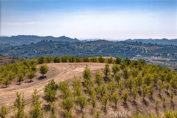 Temecula, CA 92590,16 Terreno Drive