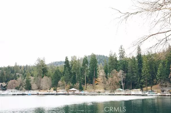 Lake Arrowhead, CA 92352,395 Primrose Circle