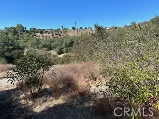 Temecula, CA 92590,25050 Carancho