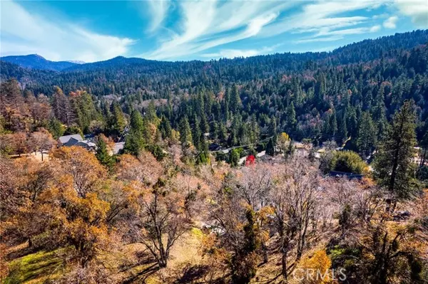 Crestline, CA 92325,0 Briarwood Lane