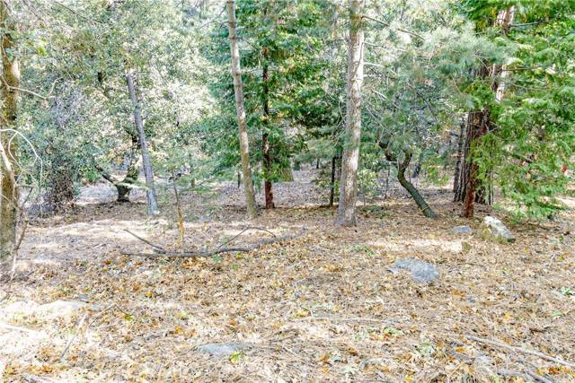 0 Alder Creek Road, Cedarpines Park, CA 92322