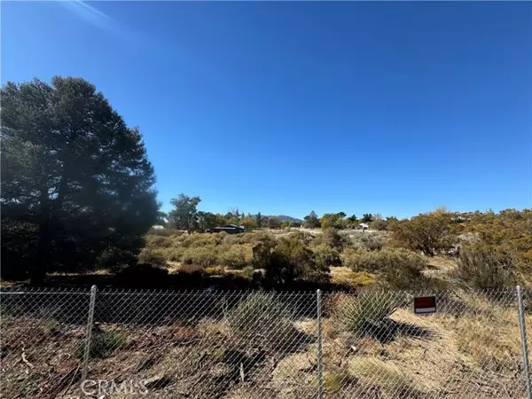 Anza, CA 92539,19 old forest