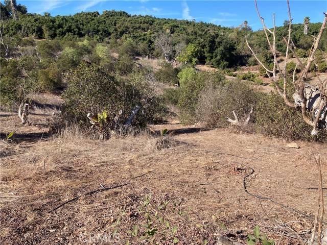 Temecula, CA 92590,10 Carancho Road