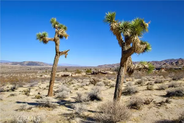 Joshua Tree, CA 92252,1040 Sullivan Road