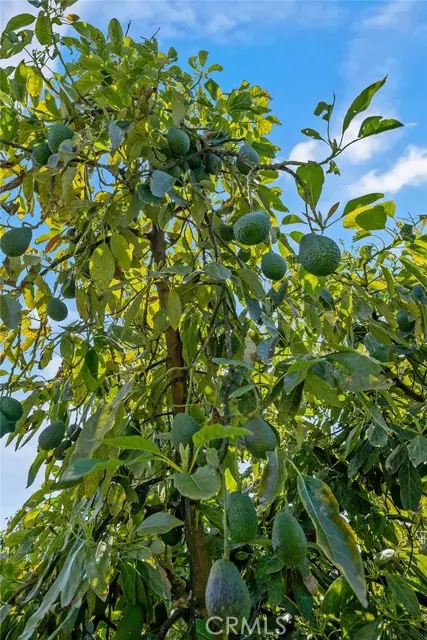 Temecula, CA 92590,48825 Via Vaquero