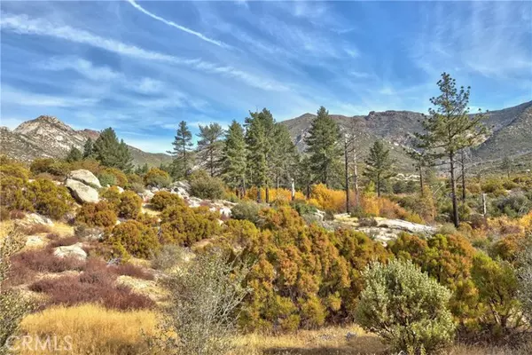 Mountain Center, CA 92561,58111 Bonita Vista Road