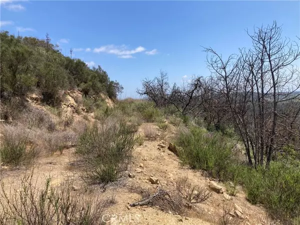 Temecula, CA 92590,3 Daneri Lane