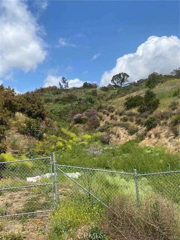 Bonsall, CA 92003,0 Camino De