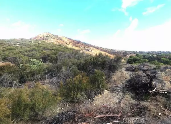 Anza, CA 92539,0 Gully View Drive