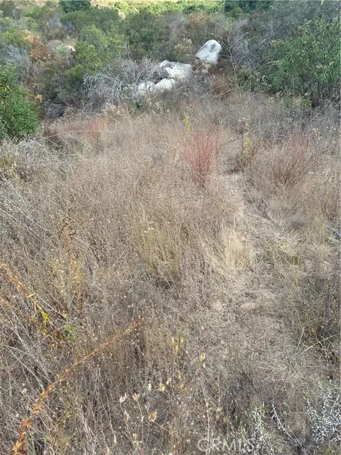 Temecula, CA 92590,0 Vuelta Grande Road