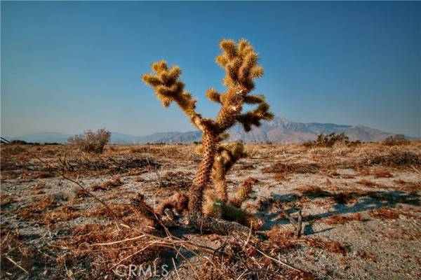 0 8th Avenue, Desert Hot Springs, CA 92240