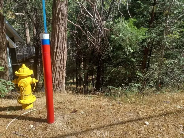 Twin Peaks, CA 92391,0 Club House Drive