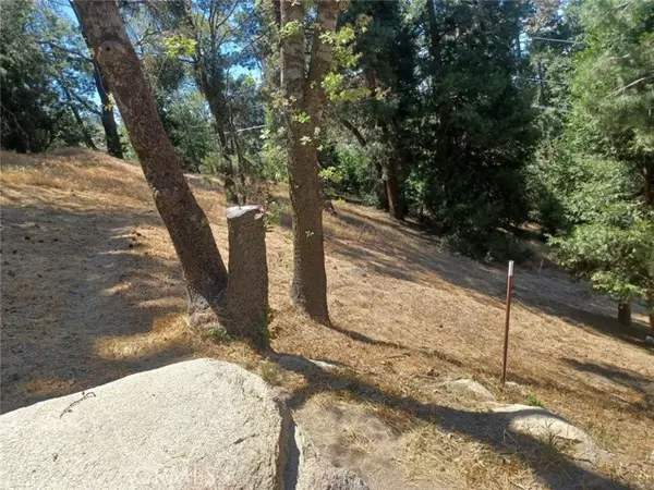 0 Pine Trail, Twin Peaks, CA 92391