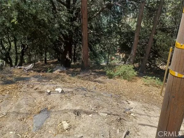 0 Lo Lane, Twin Peaks, CA 92391