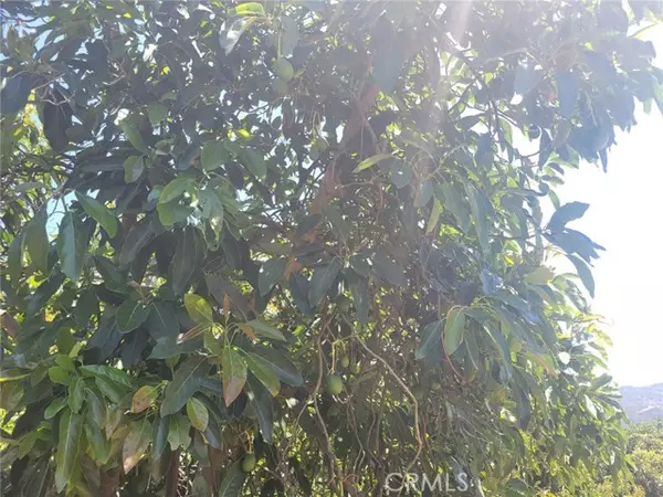 Temecula, CA 92590,0 Los Gatos