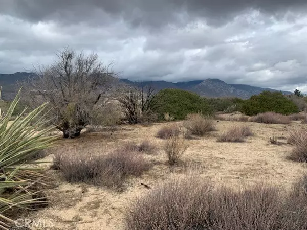 Mountain Center, CA 92561,241 Paradiso Road