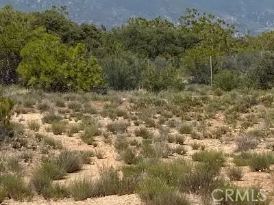 Anza, CA 92539,19 Higgins Road