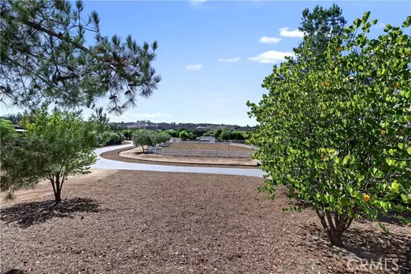 Temecula, CA 92592,37565 Purdue