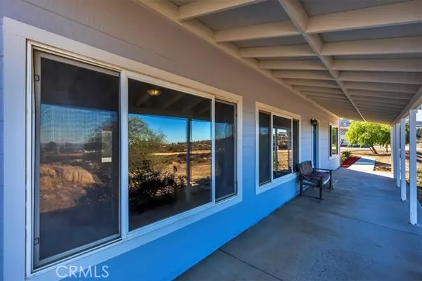 Temecula, CA 92592,39330 Gray Squirrel