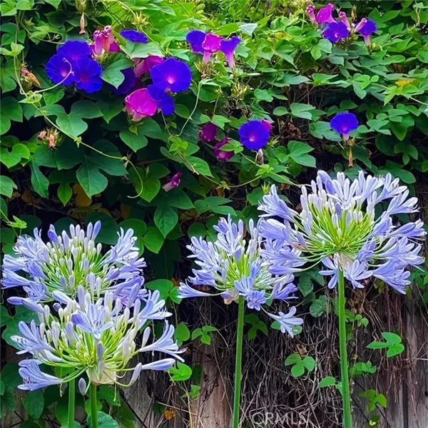 Temecula, CA 92592,31710 Corte Esparza