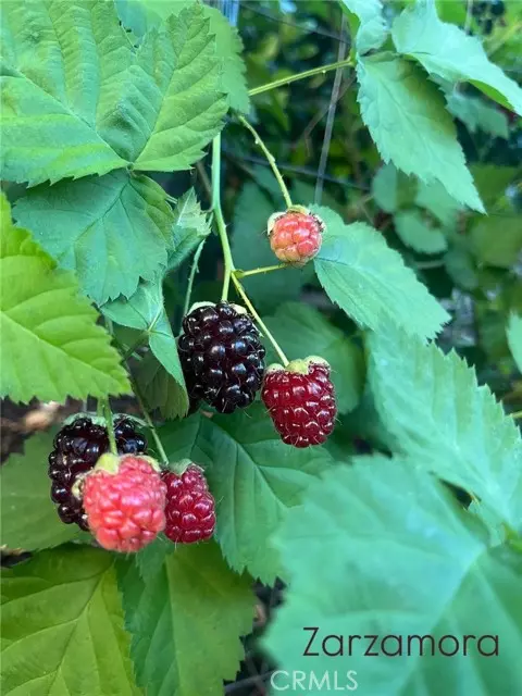 Temecula, CA 92592,31710 Corte Esparza