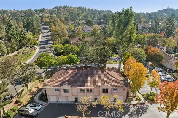 Aliso Viejo, CA 92656,3 Cinnamon Teal