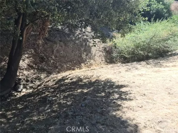 Crestline, CA 92325,24814 Edelweiss Drive