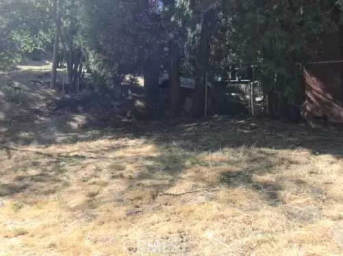 Crestline, CA 92325,24814 Edelweiss Drive