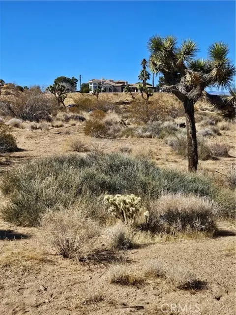 Yucca Valley, CA 92284,0 Del Monte