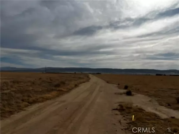 Antelope Acres, CA 93536,90 W Avenue G2