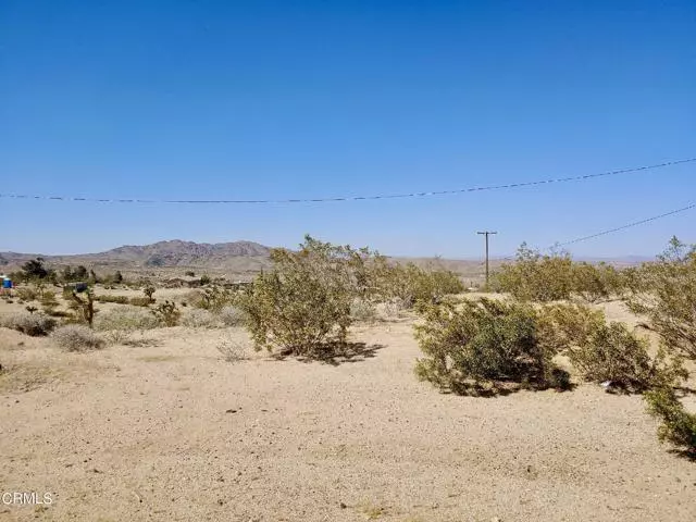 Joshua Tree, CA 92252,0 Sunnyhill Road