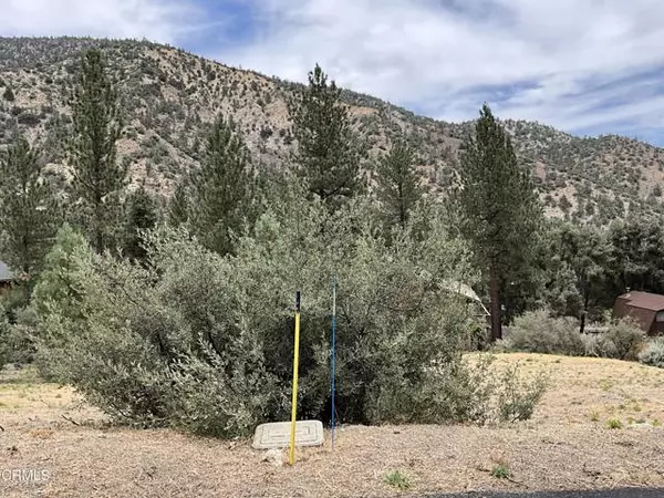 Pine Mtn Club, CA 93222,15401 Nesthorn Way