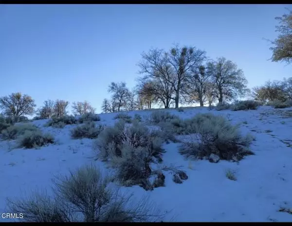 Tehachapi, CA 93561,17900 Zurich Court