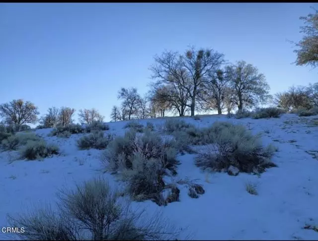 Tehachapi, CA 93561,17900 Zurich Court