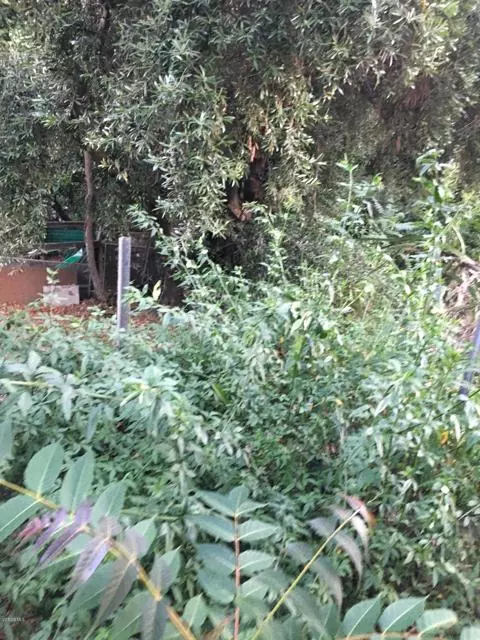 Los Angeles, CA 90039,0 Edendale Place