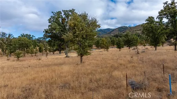 Tehachapi, CA 93561,17701 Alps Drive